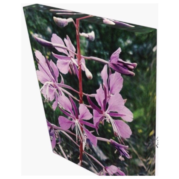 🎀SOLD🎀Unframed “Purple Pixie” Canvas Print - Picture 2 of 5